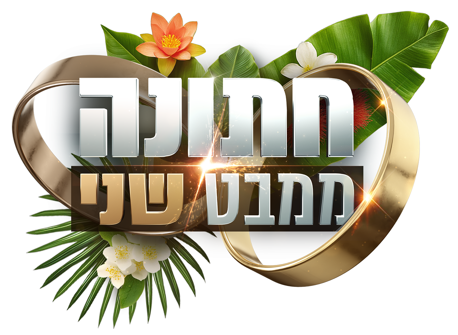 תמונת סטילס אופקית חתונה ממבט שני
